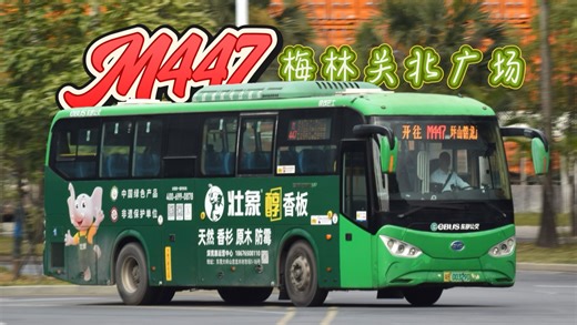 [M396の屑作#113][撤销纪念][长线后代]干线上高速 一截再截 似死未死 深圳公交M447路POV