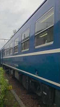 大井川鉄道きかんしゃトーマス号 到着 Thomas train in Japan #鉄道