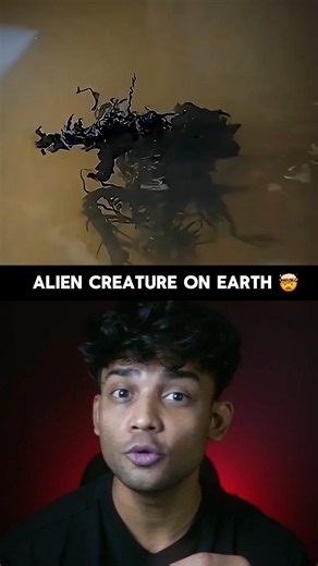This Alien-Looking Creature Actually Exists on Earth 😱 | Venom-Like Creature