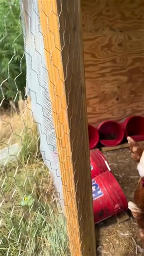 #farmgirl #farmlife #farmgirls #countrygirl #cowgirl #countrylife #farming #farmer #agriculture #farmher #homesteading #farmgirlsdoitbetter #rurallife | femalefarmerrancher