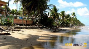 Mayaro beach