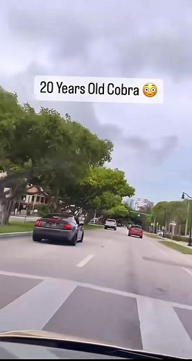 32K views · 2.5K reactions | Mustang Cobras and Machs on Reels | Facebook