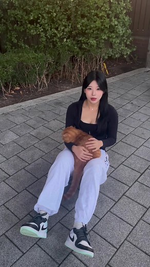 귀여운 건공이: 서울시립대 미니 가필드 데리고 밥 먹으러 가는 모습