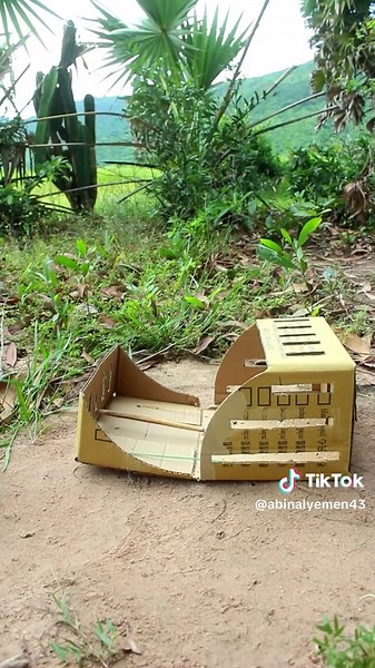 watch How to Setup Smart Bird Traps underground | DIY Trap Ideas Using Simple Tools Learn how to build smart bird traps using cardboard , rope, holes and simple tools. These DIY trap ideas can work for different birds in nature #birdtrap #diytrap #smartidea #outdoorskills #quailtrap