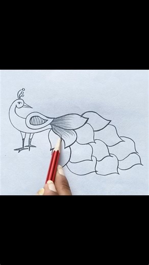 Beautiful peacock drawing|drawing tutorial||#drawing #pencildrawing