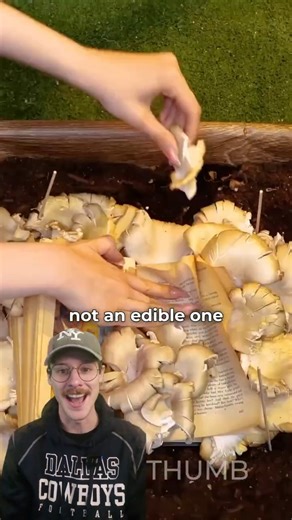 Stop believing these viral garden hacks