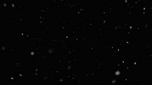 Winter Snowfall Dust Particles Natural Floating Stock Footage Video (100% Royalty-free) 3564626845 | Shutterstock