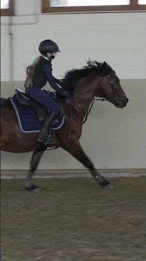 Springstunde mit Katie #equestrian #handicap #springreiten