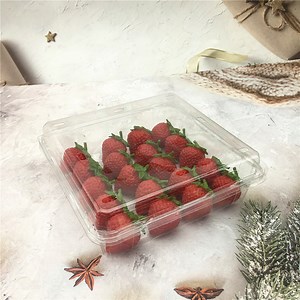 [Hot Item] Plastic Strawberry Clamshell for Food Fruit Packaging