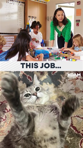 4.2K views | Cat Herders Day, on December 15th, recognizes those whose life or job is like herding cats. In the employment world, we might describe a challenging position or one tough to keep filled “like herding cats.” Share yours below! #CatHerdersDay | KOAM News Now | Facebook