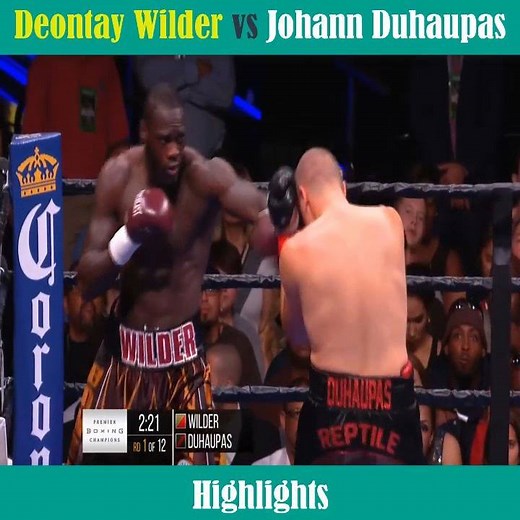 Deontay Wilder vs Johann Duhaupas Highlights | Boxing Fights HD
