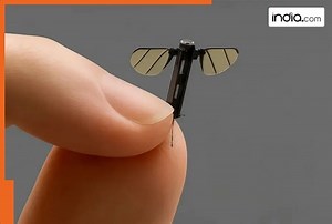 World's most dangerous weapon is also the smallest; It can defeat big armies, it is...