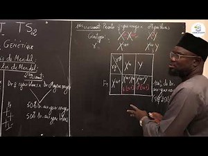 Cours - Terminale S1&S2 - SVT: Résumé de cours / Génétique / Suite 8 / M. Gnasse