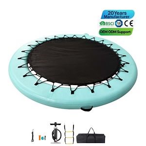[Hot Item] OEM 10FT Inflatable Swim Platform Dock for Lake
