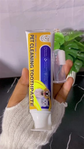 Effective Pet Cleaning Toothpaste for Your Furry Friends