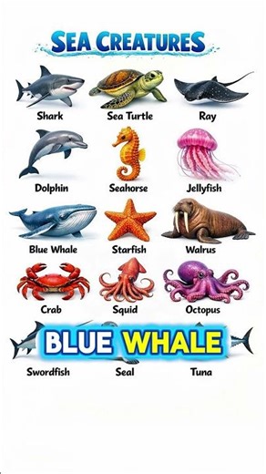 15 Sea Creatures in English 🌊🐙 | Learn English New Way | Step-by-Step Vocabulary