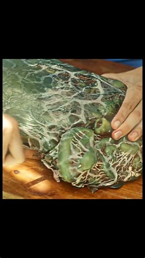 the.movie.edits on Instagram: "🎬 Sharktopus vs. Pteracuda (2014) 🦈🐙🆚🦅 When science goes wrong… monsters go to WAR! 💥 This wild Syfy monster movie brings back the deadly Sharktopus to face a new flying nightmare — Pteracuda, a half-piranha, half-barracuda beast with wings! 🌊✈️ Expect over-the-top action, crazy CGI, nonstop chaos, and pure guilty-pleasure fun 😈🔥 📌 Movie Details: 🎥 Genre: Sci-Fi | Action | Horror 📅 Release Year: 2014 🎬 Director: Kevin O’Neill ⭐ Style: So bad it’s good 