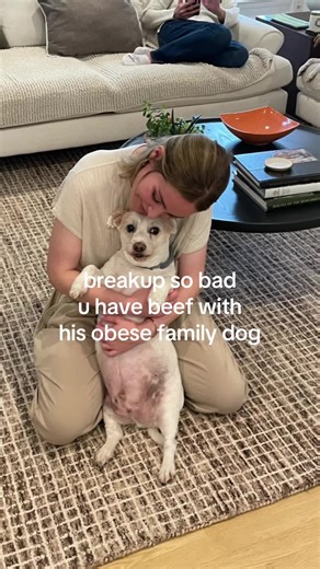 Humorous Breakup Stories Featuring Unruly Pets