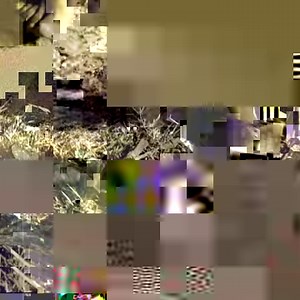 646K views · 18K reactions | ¡Un temazo! Stephen "RAGGA" Marley | Rock Stone (ft. Capleton & Sizzla) ❤️ | Reggae OfficiaI | Facebook