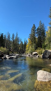 2.7K views · 87 reactions | Here's some forest and river ASMR in case you miss the sounds of nature  | Discover California | Facebook