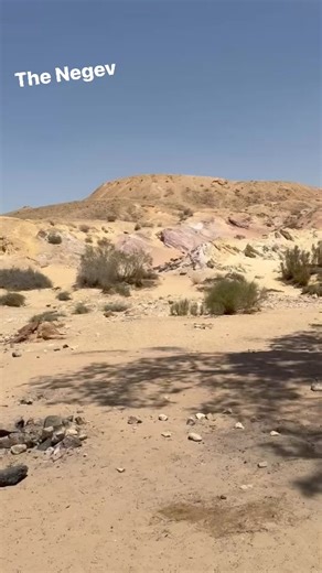 16K views · 1.8K reactions | The beautiful colors of the Negev...