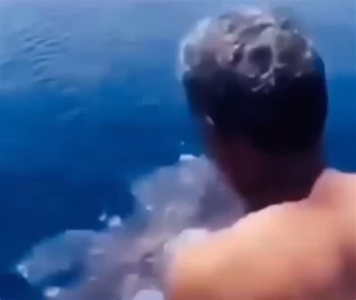 Poke Posting on Instagram: "Repost if you are a true HOEnn fan! ✩ ✶ ✵ ✶ ✵ ✶ ✵ ✶ ✵ ✶ ✵ ✶ ✵ ✶ ✵ ✶ ✵ ✶ ✵ ✶ ✵ ✶ ✵ ✶ ✵ ✶ ✩ ☑️ 𝘓𝘦𝘢𝘷𝘦 𝘢 𝘭𝘪𝘬𝘦 𝘢𝘯𝘥 𝘢 𝘤𝘰𝘮𝘮𝘦𝘯𝘵! ✩ ☑️ 𝘍𝘰𝘭𝘭𝘰𝘸 𝘧𝘰𝘳 𝘮𝘰𝘳𝘦 𝘗𝘰𝘬é𝘮𝘰𝘯 𝘤𝘰𝘯𝘵𝘦𝘯𝘵! ✩ ☑️ 𝘍𝘰𝘭𝘭𝘰𝘸 𝘔𝘺 𝘖𝘵𝘩𝘦𝘳 𝘈𝘤𝘤𝘰𝘶𝘯𝘵: @thepokememester! ✩ ✵ ✶ ✵ ✶ ✵ ✶ ✵ ✶ ✵ ✶ ✵ ✶ ✵ ✶ ✵ ✶ ✵ ✶ ✵ ✶ ✵ ✶ ✵ ✶ ✵ ✶ ✩ ✩ ❌𝘐𝘨𝘯𝘰𝘳𝘦 𝘵𝘩𝘦 𝘩𝘢𝘴𝘩𝘵𝘢𝘨𝘴: ✩ ✩ #meme #memes #dankmemes #memesdaily #funnymemes #spicymemes #pokemon #pokémon #pokemonfan #pokem