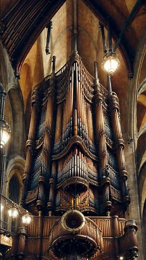 Sacred Sounds: Pipe Organ for Calm & Focus