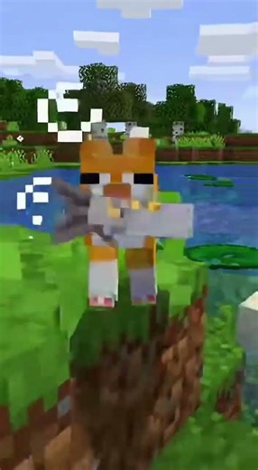 A Minecraft Cat (Meowcraft)