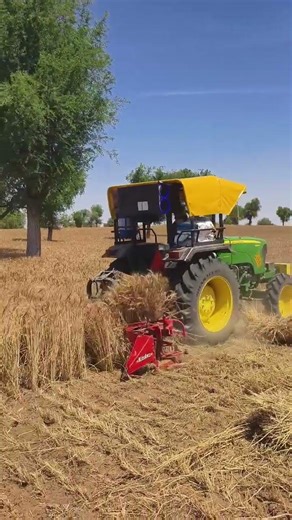 JD Tractor With Reaper Machine #khetibadi #harvesting #jd #tractor #farming #crop #Shorts #ytshorts