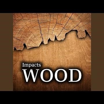 Heavy Wood Hit with Heavy Crunching