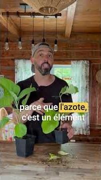 Une astuce pour de beaux transplants : RESPECTE LA MOTTE.
