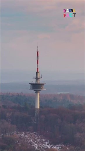 This Is NOT a Tower! 😱 The Secret Behind the Giant Space Dish | Radio Telescope Explained