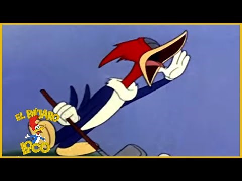 El Pájaro Loco en Español | La Mejor Recompilacion - Dibujos Antiguos | Caricaturas para Niños