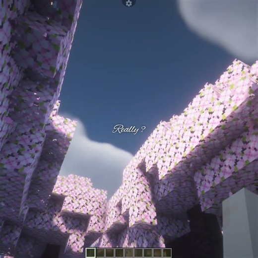 Phones can't handle java shaders 😶‍🌫️💫 #minexraft #gaming #viral #fyp #gamtng