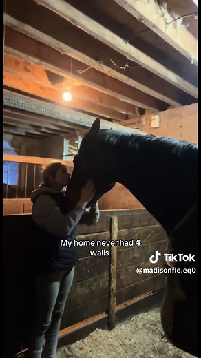 Horse Care and Behavior: Neighs, Shoes, Flies, and Buying Choices
