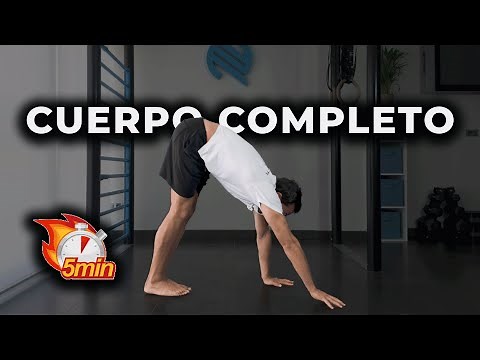 🤸 Full Body Calisthenics Routine for Beginners 💪🏼