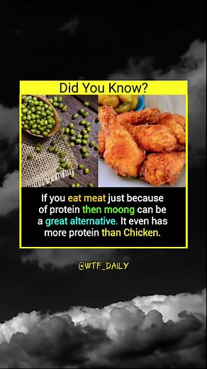 #scary #silly #spooky #boo #skeleton #ghosts #👻 #wtf #wtfmoments