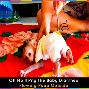 Be Careful !! Baby monkey not good health pushing p-00-p outside diaper | Nasim Roberson