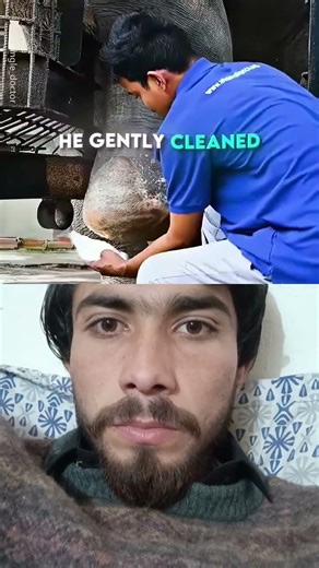 This Elephant Learned to Walk Again,🐘💓#viral