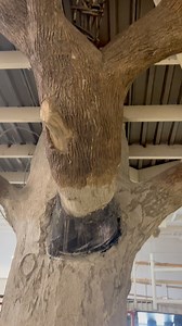 Creating an artificial tree base for a treehouse structure 🪵 #rockscapesofcanada #rockreplica #fauxrock #design #decorativeconcrete #artist #art #artificialtree #fauxtree #concrete #rocktheming #museum #childrensmuseum #londonchildrensmuseum #treehouse #build #construction | Rockscapes