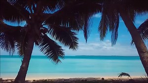 🏖 Top 20 things to-do in The Cook Islands / Rarotonga 🌴 How many have you done? A= 1 - 5 activities B = 6-13 activities C = 14 - 19 activities D: All the of them! 𝗖𝗼𝗺𝗺𝗲𝗻𝘁 '𝗥𝗮𝗿𝗼' for info our our 𝗥𝗮𝗿𝗼𝘁𝗼𝗻𝗴𝗮 𝗧𝗿𝗮𝘃𝗲𝗹 𝗚𝘂𝗶𝗱𝗲. (note: we made this video in 2020) Thank you to all of the businesses involved in making this video possible ❤ 🇨🇰 Raro Buggy Tours Ikurangi Eco Retreat Koka Lagoon Cruises, Rarotonga, Cook Islands Air Rarotonga Ariki Adventures Te Vara Nui Villag