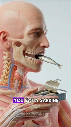 You Eat Sardine…. This is What Happens Inside Your Body #shorts
