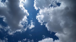 Mist, Fog, Field, Trees, Birds