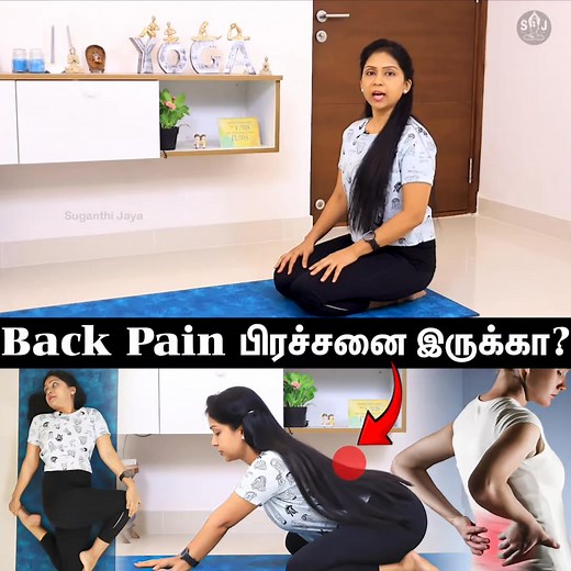 Back Pain-க்கு Best exercise இதுதான்! Try பண்ணி பாருங்க | Suganthi Jaya | International Yoga Trainer #backpain #backpainrelief #backpainexercises #lowbackpain #lowerbackpain #yogaforbackpain #spinehealth #posture #painrelief #health | Yoga with Suganthi