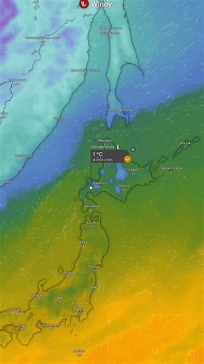 The Siberian blast is on its way, bringing more snow here than anywhere else on the planet (don’t fact check that). So what are you waiting for? If you haven’t booked yet the time is now. | Rhythm Japan