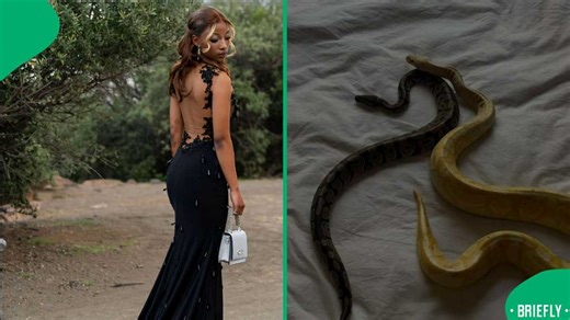 "Your family secret": Woman dancing with snake around neck divides Mzansi online