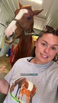 Breeding Season! #katievanslyke #runningspringsminifarm #horses