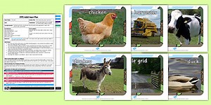 Farm Animal 'Describe It and Find It' EYFS Adult Input Plan And Resource Pack