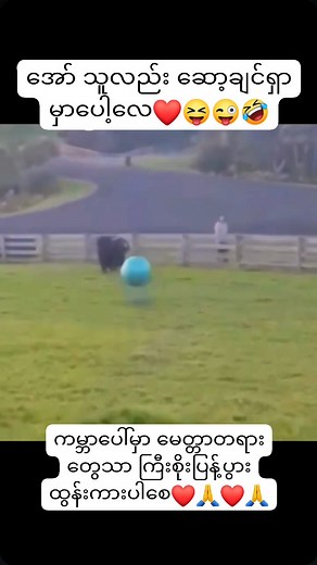 496K views · 10K reactions | #amazingfacts #amazingvideo #amazingview...