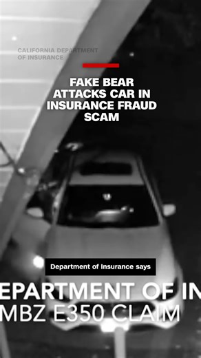 Four people were arrested in an insurance fraud case after they submitted footage to an insurance company showing what they said was a bear damaging a luxury car. | CNN